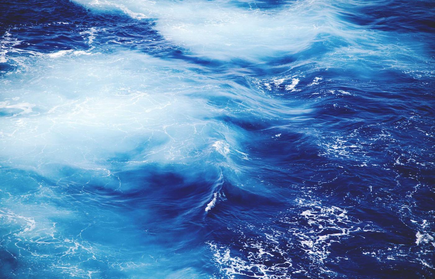 Команда мүшесі