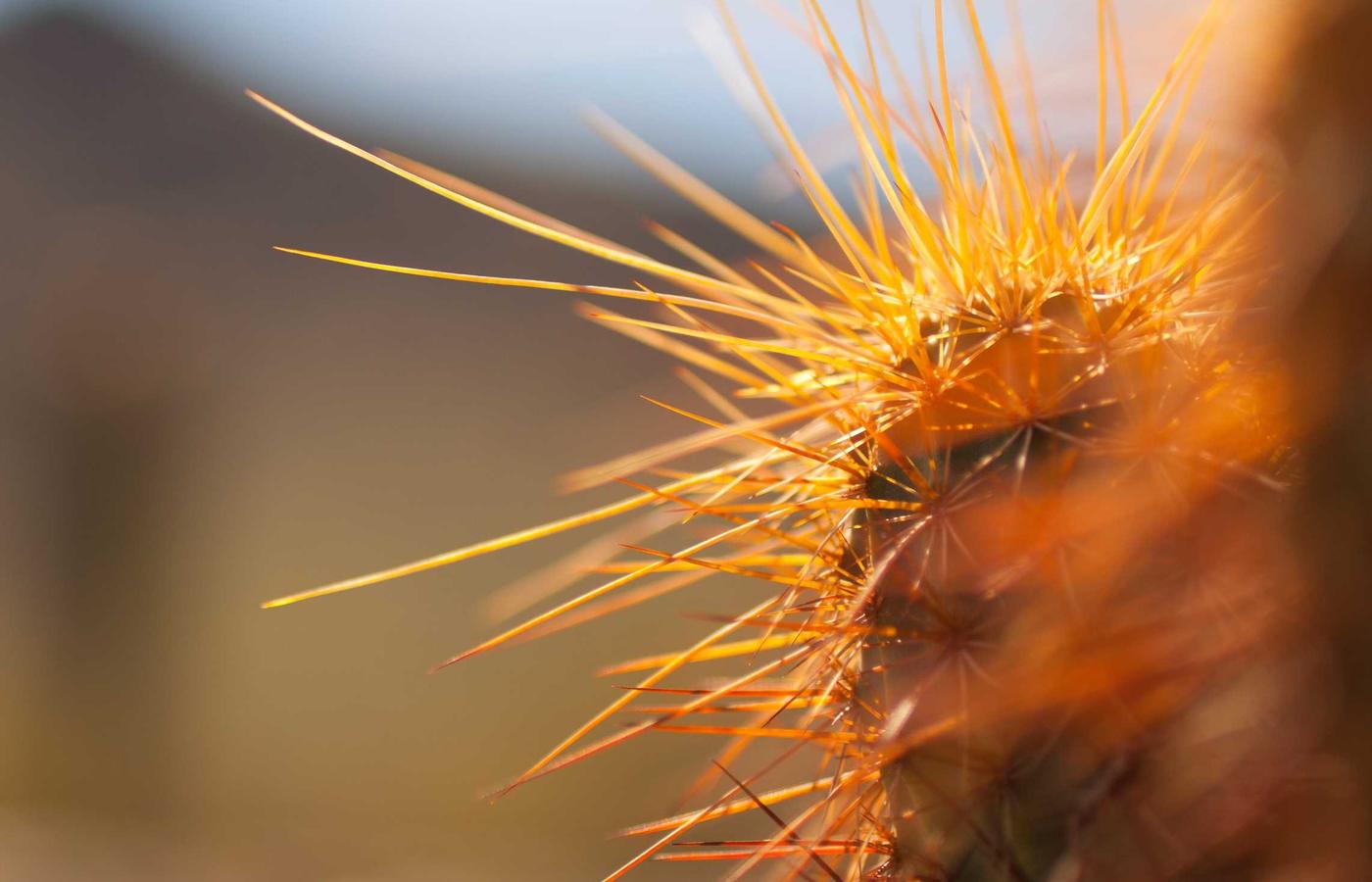 IT-консалтинг