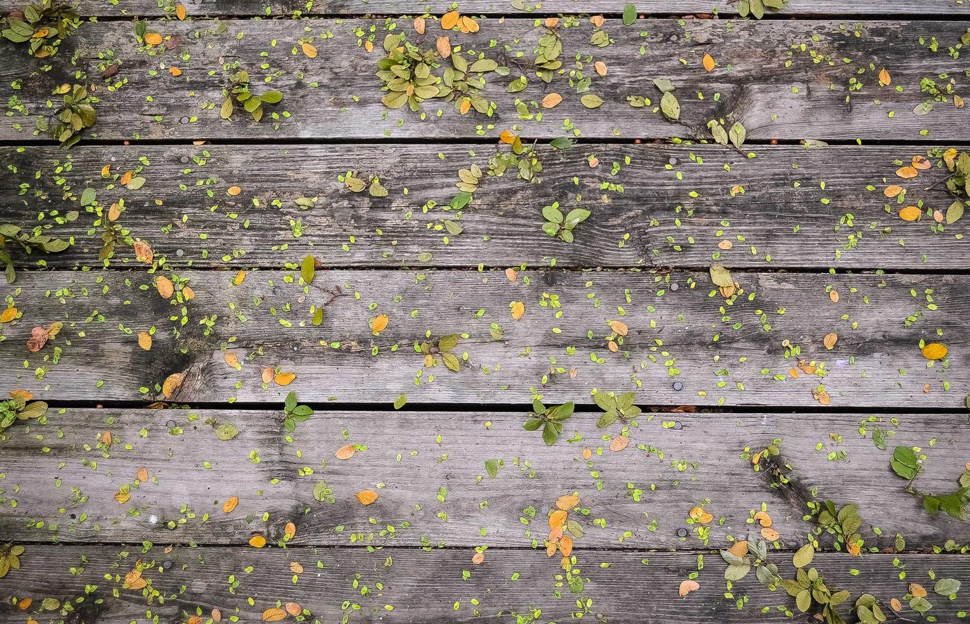 Мақала суреті