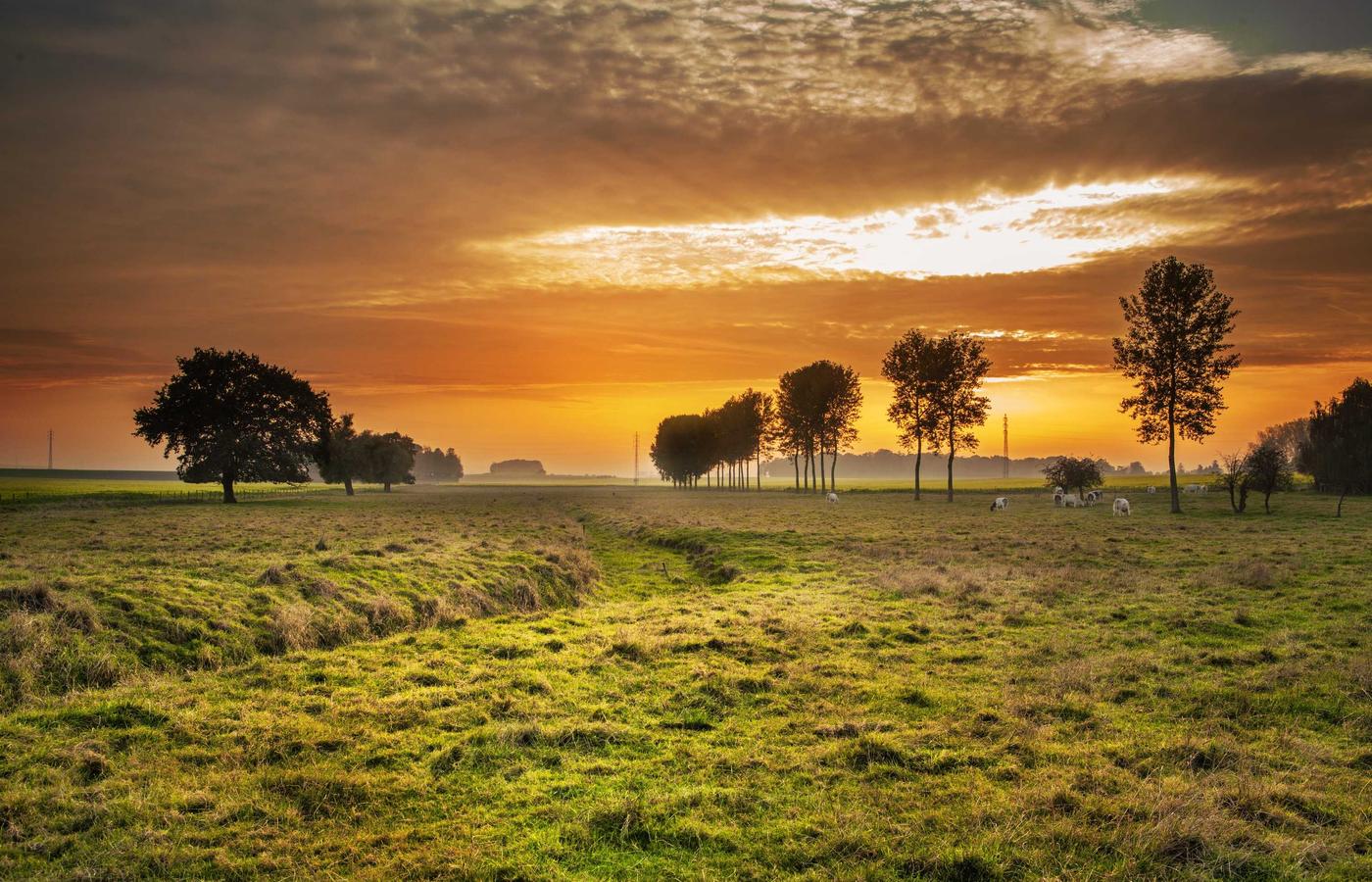 Клиенттің фотосы